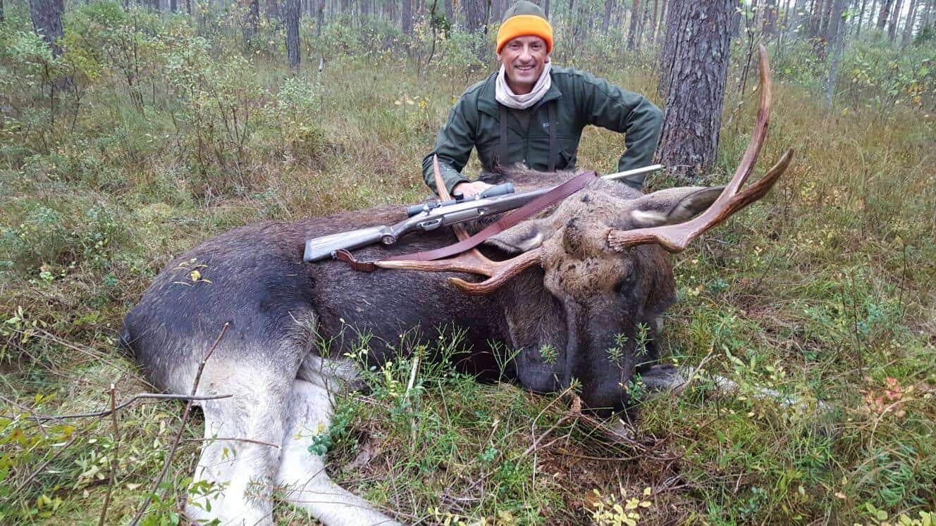 Chasse au gros gibier en Estonie