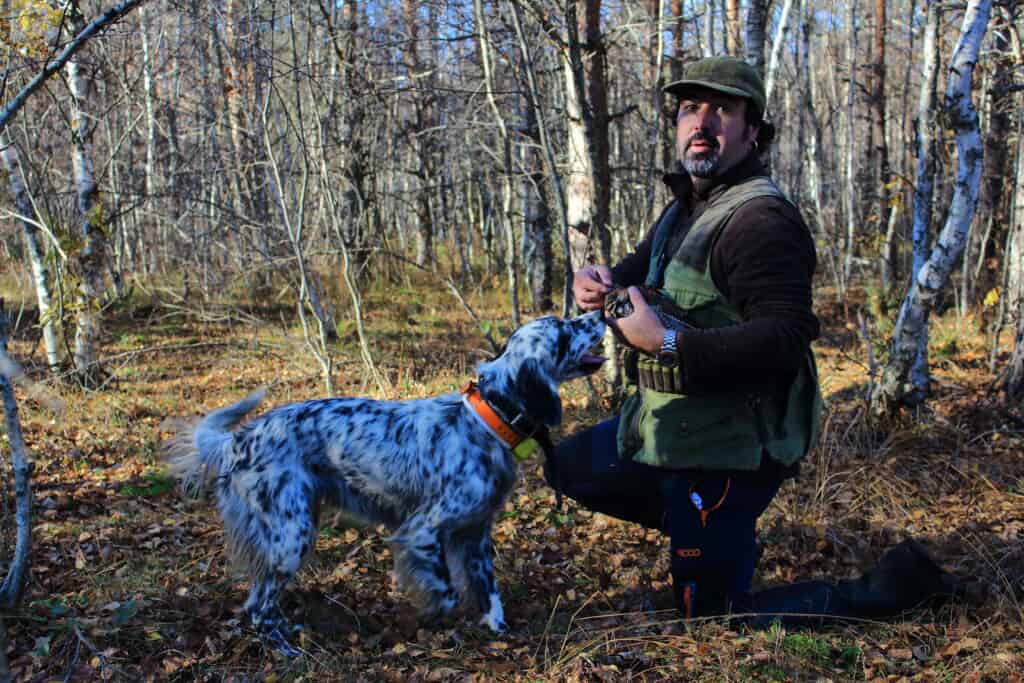Chasse à la Bécasse en Estonie