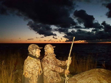Chasse aux Canards